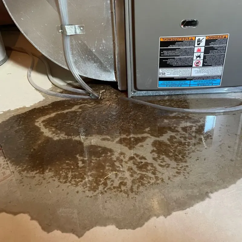 Pipe Burst and Leak Restoration in Hormigueros Municipio, PR